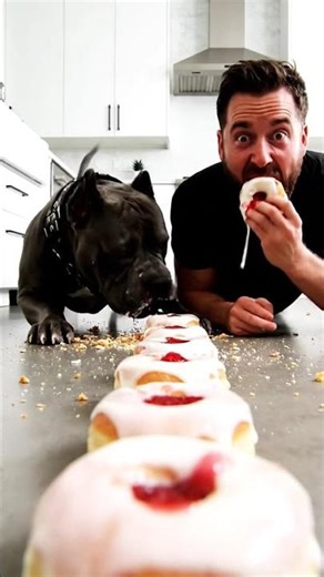 Glazed Doughnut Holes Food Race Challenge