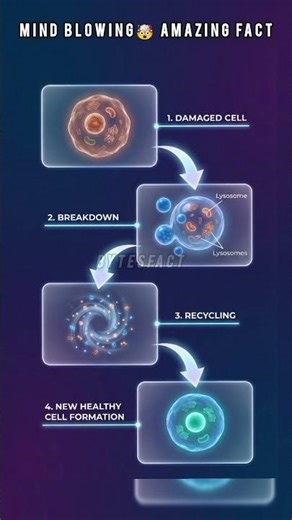 Autophagy: Jab Tumhara Body Khud Ko Clean Karta Hai | Science of Fasting Explained 😳