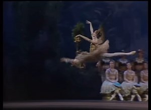 98K views · 10K reactions | #tbt #90's With the amazing (Dame) Darcey Bussell DBE, dancing the Gamzatti variation, from La Bayadere. Renowned for the energy and passion of her performances, she was one of the youngest artists to serve as Principal dancer in the Royal Ballet, and arguably the most famous British ballerina of her generation. Enjoy!  | MDM Dance | Facebook