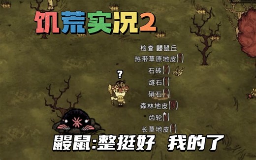 【EBB】家旁边四个高脚鸟巢直接快进到饱荒！