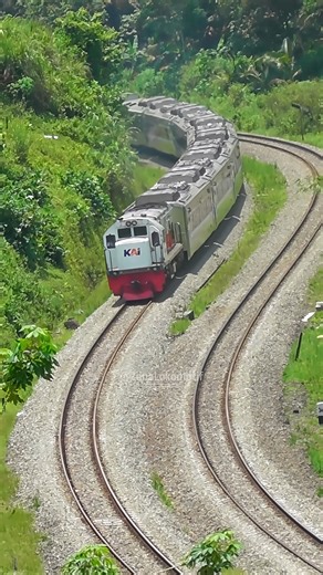 13K views · 383 reactions | Beautiful Tropical Curve with a Long Train Passing #train #railway #railroad | Zona Lokomotif | Facebook