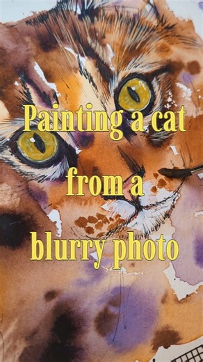 8.3K views · 2.6K reactions | BRUCE ✨ Another blurry reference pic!...