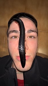 Eye Twitching or Myokymia Causes And Prevention #reels #reelsinstagram #trending #eyes #eye #eyetwitching #eyecare #fbreels #facts #amazingfacts #factsdaily #viral #explore #travel #instadaily #instagram #reelkrofeelkro❤️ #trendingreels #viralreels #explorepage #factsinhindi #sciencefacts #hpfacts #status #memes #foryou #followforfollowback | HP Facts