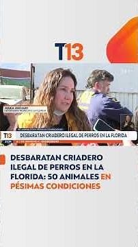 Terrible: Animals kept in crowded, illegal breeding kennel in La Florida