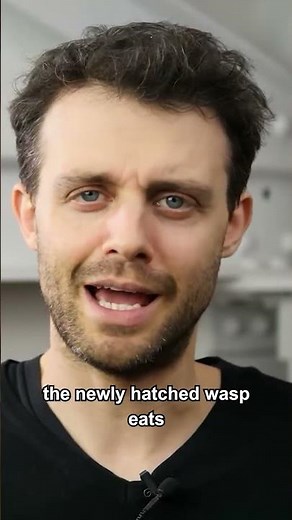 Incredible Survival Mechanism!
