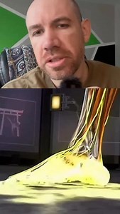 Follow for more nervous system training tips. Most strength coaches arguing that “you don’t absorb force, you only produce it” are ignoring the most basic law of physics. Newton’s Third Law says that for every action, there is an equal and opposite reaction. That means any time the ground, an opponent, or impact sends force into your body, you have to absorb and organize that force before you can do anything with it. Every cut, landing, punch, kick check, sprawl, or scramble starts with force co