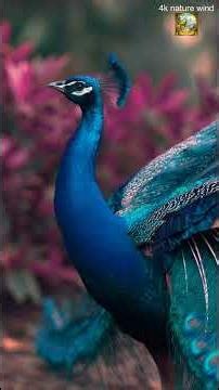 Beautiful Birds in 4K UHD With Relaxing Music 🐦🎶 #4knaturewind #flowers #wildlifeentertainment