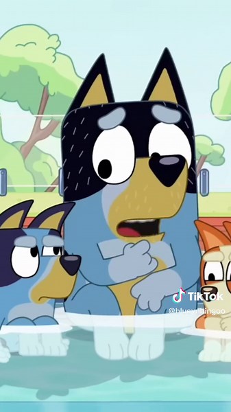 Bluey's Pool Day Adventures with Bingo