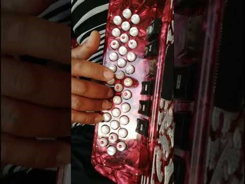Como tocar volver volver con acordeon