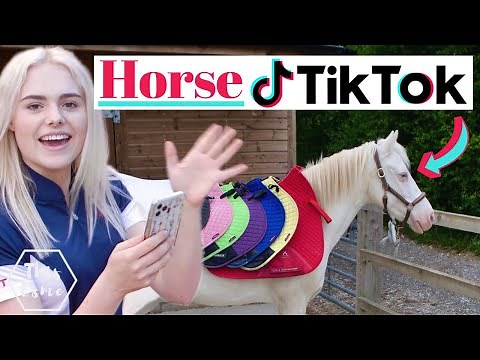 Create Horse TikToks with me! AD | This Esme