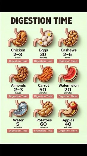 Digestion Time Chart | How Fast Different Foods Digest | What Happens in Your Stomach? #healthylife