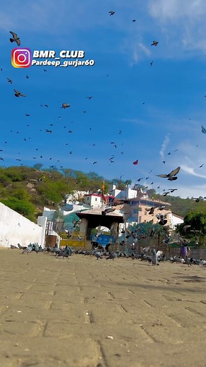 Bmr Club | Jai baba Mohan ram ki🙏 #bmr_club | Instagram