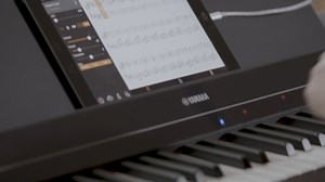 If you're just starting out, the Stream Lights feature will guide you...