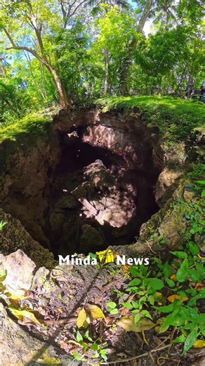 1.9K views · 25 reactions | The Monfort Bat Cave in Samal remains a safe sanctuary for thousands of fruit bats, now cared for by the late “Mama Bat” Norma Monfort’s daughter. Local programs are helping protect their habitat through conservation and bamboo-planting efforts. MindaNews video by YAS OCAMPO | MindaNews | Facebook