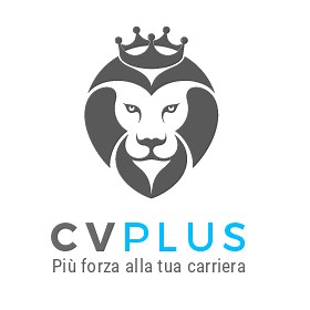 Quando il selezionatore domanda: "mi parli di lei"