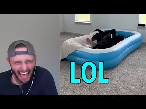 SSundee and his friends reacts to Worlds Funniest Pranks