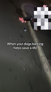 When your dogs barking helps save a life | Dog Barking