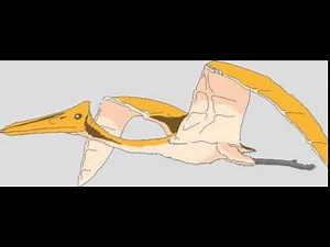 Raptor Scream Sound Effect (Royalty Free)