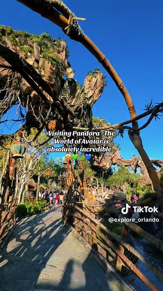 Pandora the World of Avatar is one of the greatest theme park lands ever built🤩💚💙🍃✨ @Avatar @Disney Parks @Disney #avatar #avatarthewayofwater #avataredit #avatar2 #pandora #pandoratheworldofavatar #animalkingdom #avatarland #avatar2009 #waltdisneyworld #disney #florida #orlando