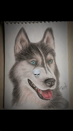 realistic dog drawing ☠️🔥 #exploreart #dogdrawing #shorts #ytshorts #viralshorts #art