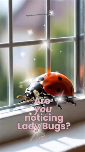 Psychic Medium Brittany on Instagram: "Are you noticing ladybugs lately? 🐞 Our loved ones in Spirit love to send signs through inspects & for many people a lady bug is one of the most popular! Our loved ones in Spirit might send a lady bug to relay a message of support or comfort & sometimes it’s simply “I’m here” Remember, Signs from Spirit are personal. What matters most is what you felt when you noticed it. That feeling is part of the message your loved one is sending you. ✨ Learn to decode