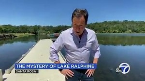 'Prehistoric' large snapping turtle spotted in Northern California lake
