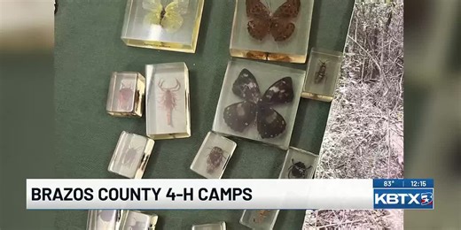 Registration opens for Brazos County 4-H summer day camps