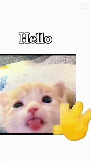 Hello!! #kitty #cat #gif #cute #fyp