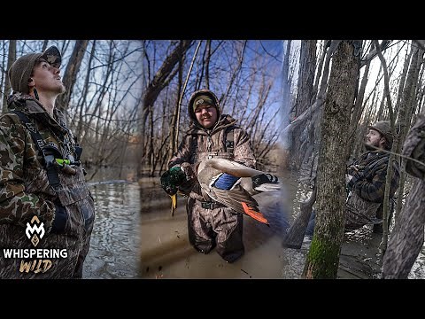 Duck Hunting Public Land in ARKANSAS | Day 1