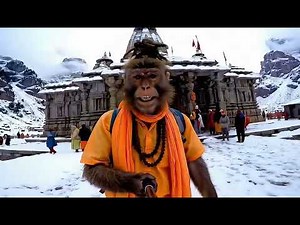Dj Cartoon Network || Sanatani Monkey || Kedarnath || Har har Mahadev