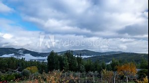 Time-lapse of Fog and mist moving with clouds with greenery on the foreground