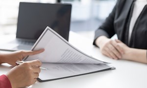 Internships | Green Party