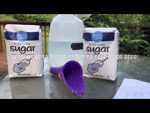 Learn How to Make 1:1 Bee Sugar Syrup in 1 minute!