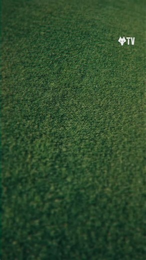 3.2K views · 1.5K reactions | Our new wolf  | Wolverhampton Wanderers FC | Facebook