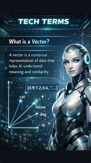 Tech Term: What is a Vector?