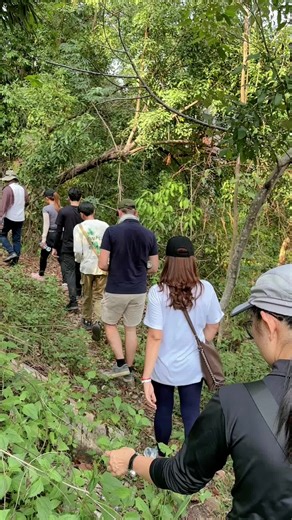 Best view 🌿🍃 #trekking #kirirom_nationalpark🇰🇭 #cambodia