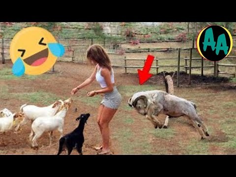 🤭 Epic Fails & Funny Videos You Can’t Miss!