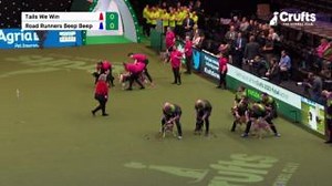 47K views · 860 reactions | Throwing it back to 2023 when the Roadrunners made history! Reigning champions for the second year in a row!  Don't miss your chance to see Flyball at Crufts 2025, buy your tickets now: crufts.org.uk/tickets | Crufts | Facebook