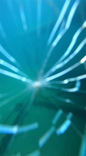 deep sea ocean life #fishing #deepsea #ocean