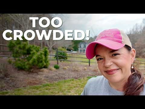 Massive Berm Refresh! Transplanting, Planting & Mulching Day