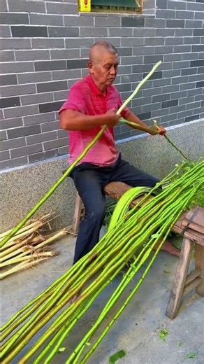 Traditional Process of Harvesting and Extracting Plant Fibers by Hand