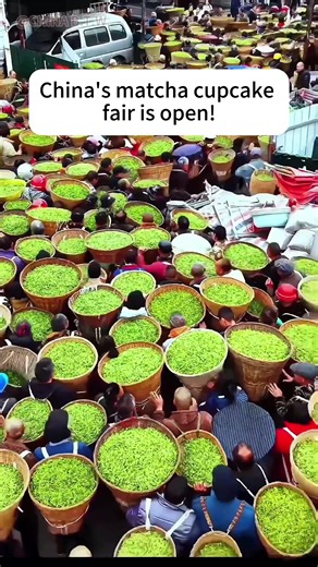 China's Matcha Cake: A Tea Market Experience
