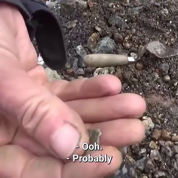 A Roman coin found in the mud