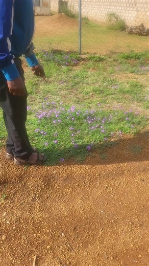 Traditional Dr JM Mashaba (@prophet.jm.mashava)’s videos with original sound - Traditional Dr JM Mashaba