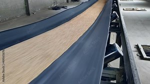 The grain moves along the conveyor belt on the elevator. Wheat is transported by conveyor for drying and grinding in the mill. Wheat grain on conveyor
