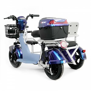 [Hot Item] Multifunctional Design, Multifunctional Electric Tricycle, for Carrying People and Cargo