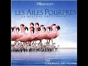 The Cinematic Orchestra First Light