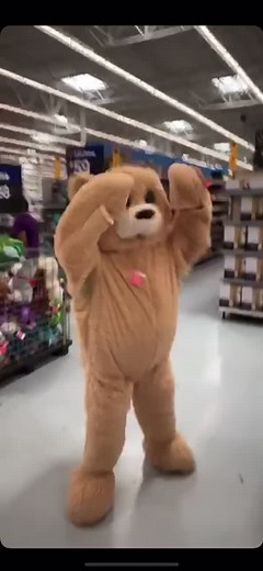 Funny Teddy Bear Costume Compilation