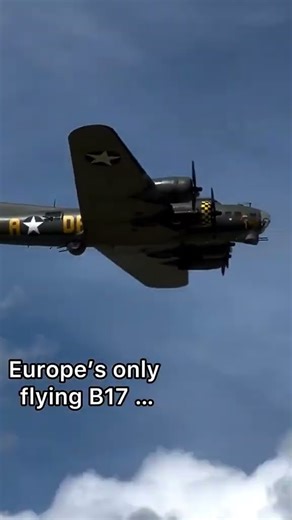 B-17 Nose Art Close-Up | Sally B’s Surprising Story 📹 Ig/that.spitfire.bird