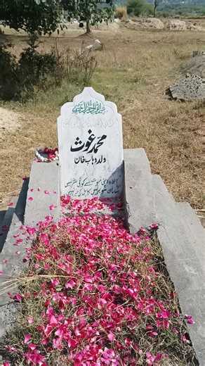 Abdul Rashid khan on TikTok